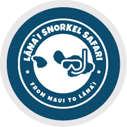 logo new